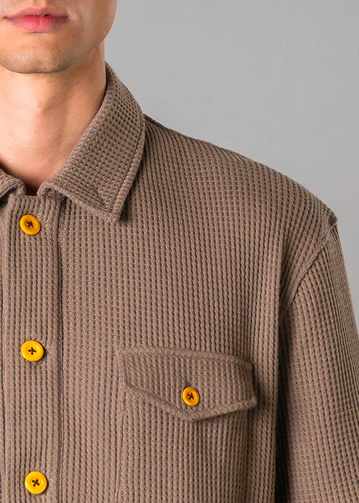 Vintage Polo Bark
