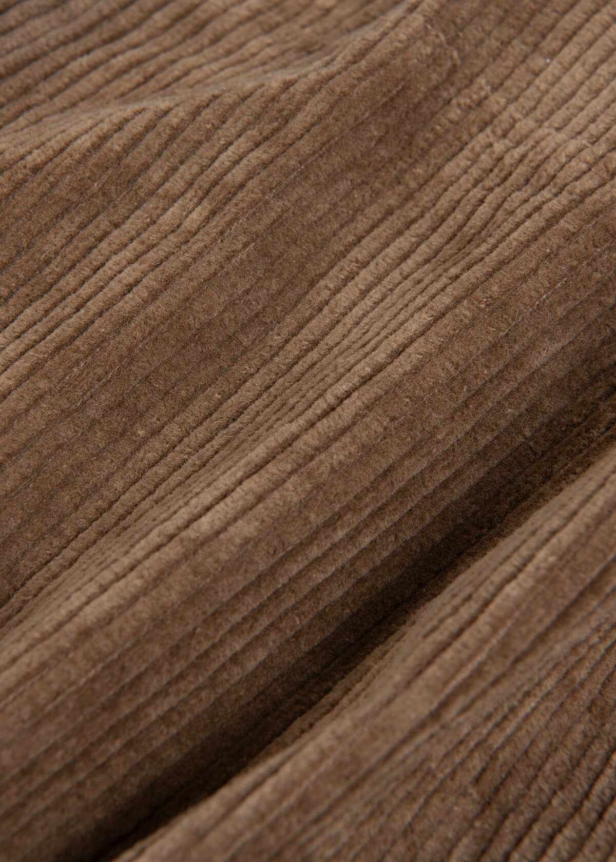 Corduroy Cavalier Brass